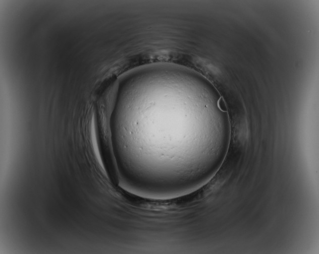 X0000084550661200703021507