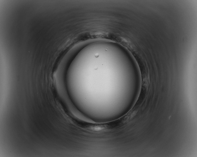 X0000084550662200703021507