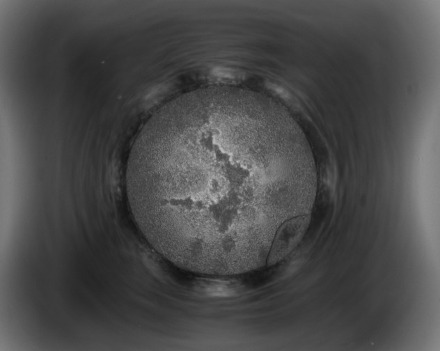 X0000084550663200703021507