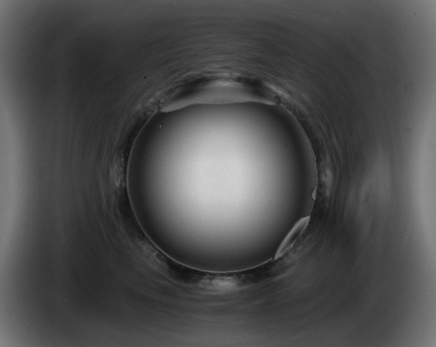X0000084550665200703021507