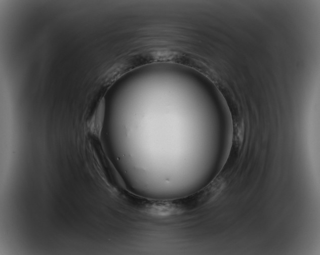X0000084550666200703021507