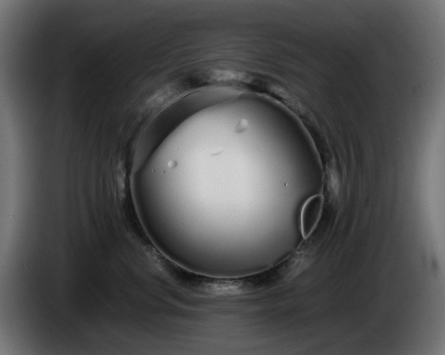 X0000084550668200703021507