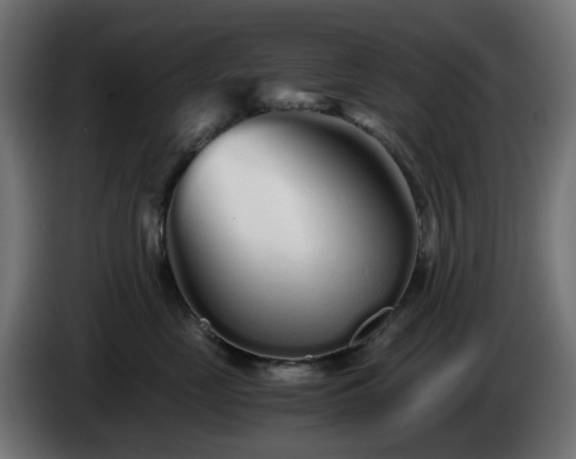 X0000084550669200703021507