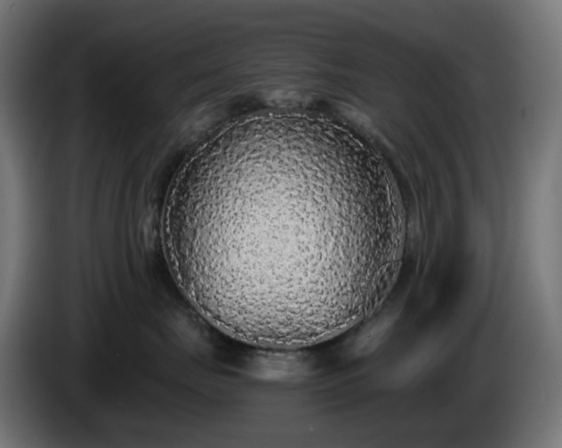 X0000084550671200703021507