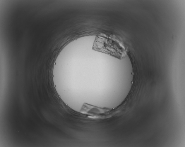 X0000084550672200703021507