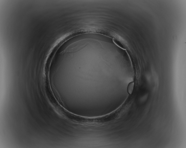 X0000084550674200703021506