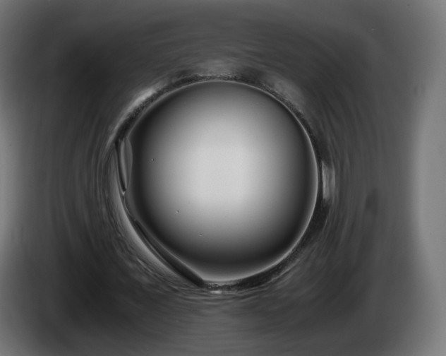 X0000084550675200703021506