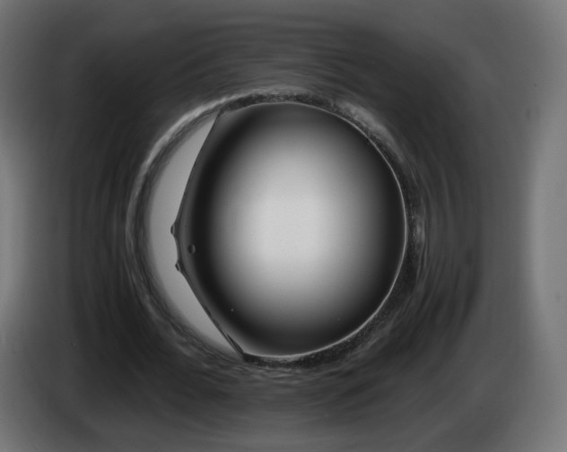 X0000084550676200703021506