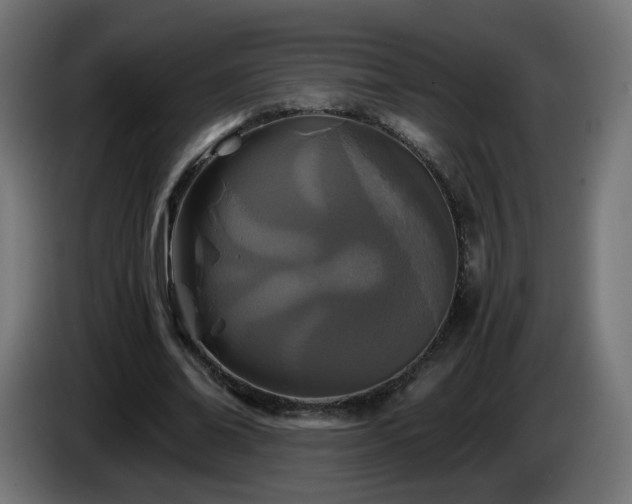 X0000084550678200703021506