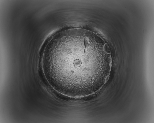X0000084550679200703021506