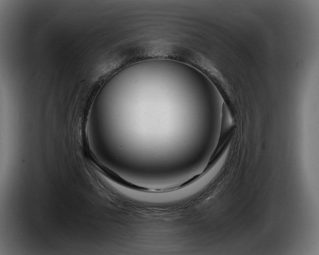 X0000084550681200703021506