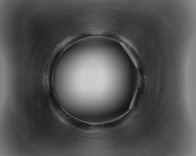 X0000084550682200703021506