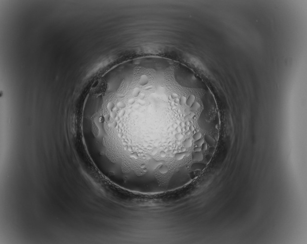 X0000084550683200703021506