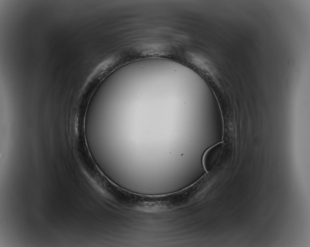 X0000084550686200703021506
