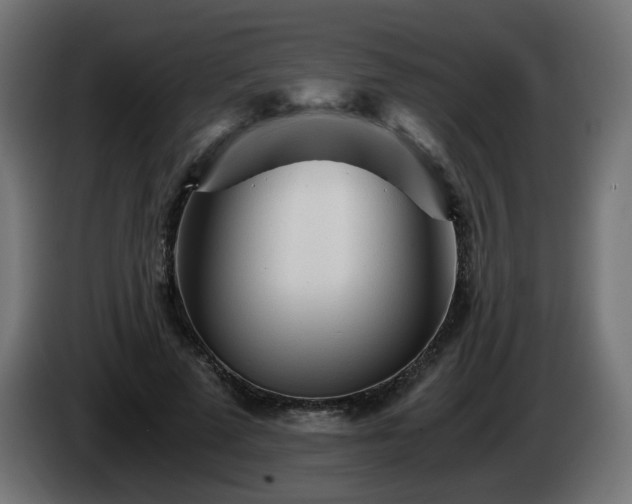 X0000084550689200703021506