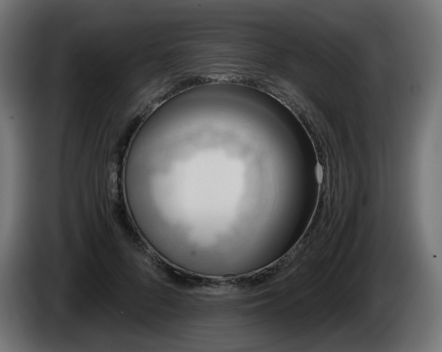 X0000084550696200703021506
