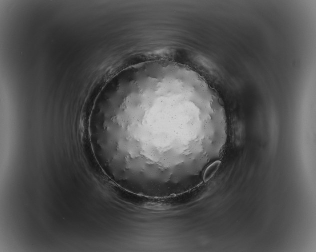 X0000084550699200703021506