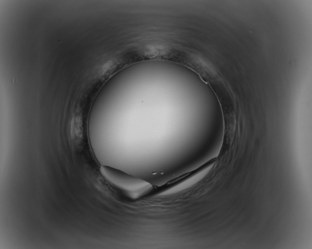 X0000084550700200703021506