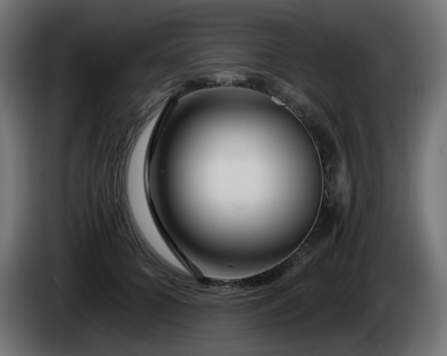 X0000084550704200703021506