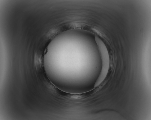 X0000084550718200703021506