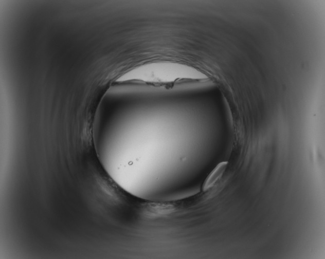 X0000084550719200703021506