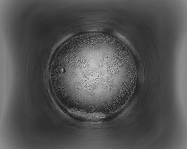 X0000084550721200703021505