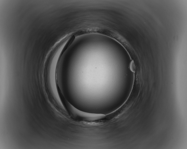 X0000084550722200703021505
