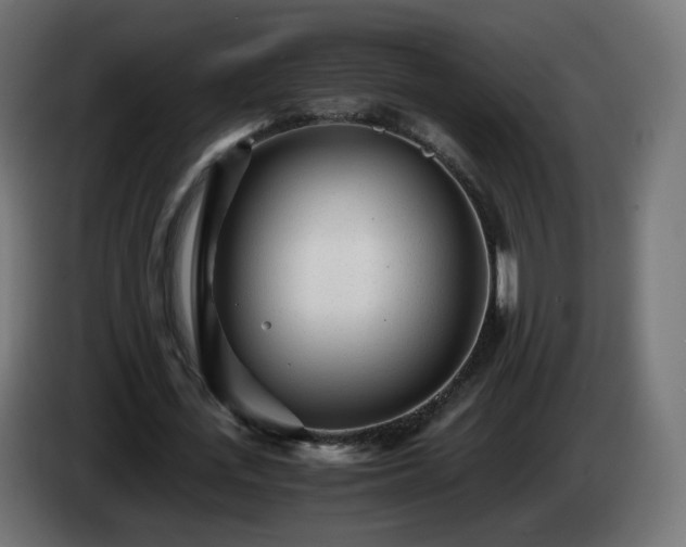 X0000084550723200703021505