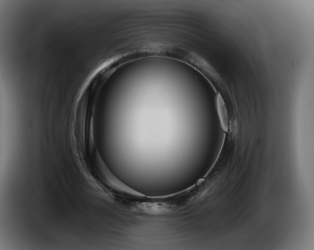 X0000084550724200703021505