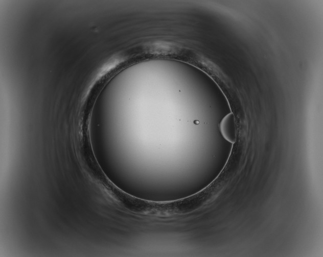 X0000084550727200703021505