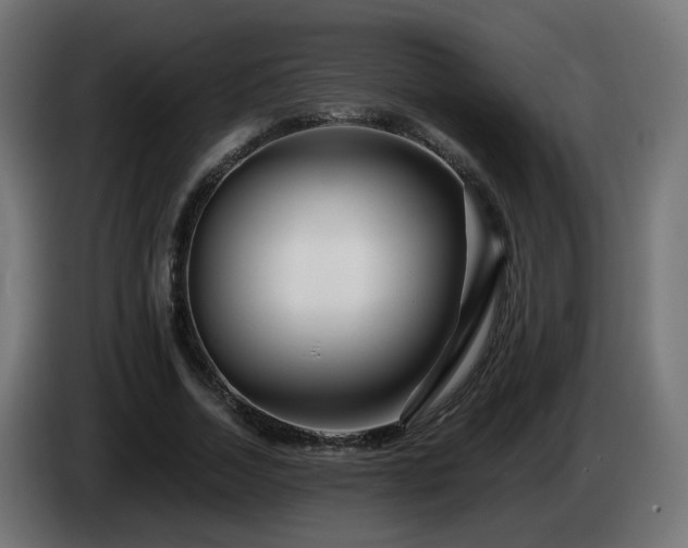 X0000084550730200703021505
