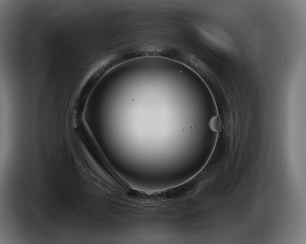 X0000084550731200703021505