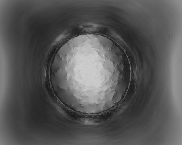 X0000084550733200703021505