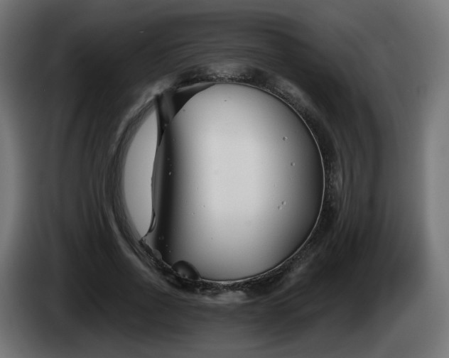 X0000084550734200703021505