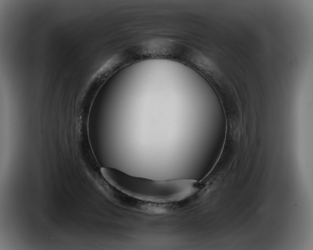 X0000084550735200703021505