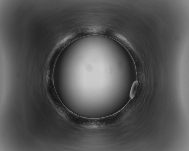 X0000084550736200703021505