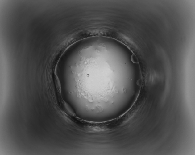 X0000084550737200703021505