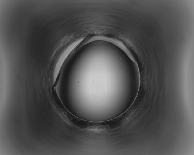 X0000084550738200703021505