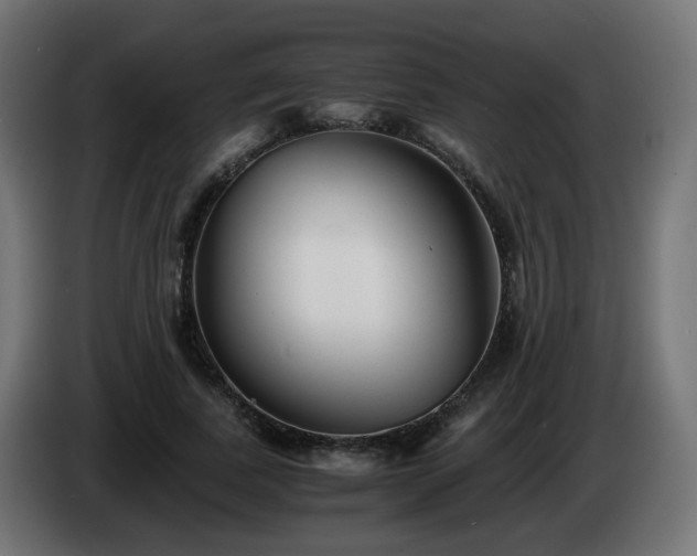 X0000084550739200703021505
