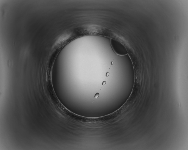 X0000084550740200703021505