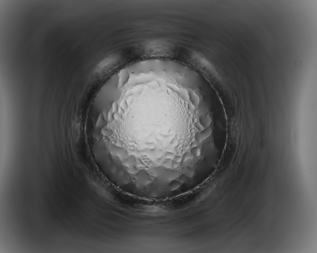 X0000084550741200703021505