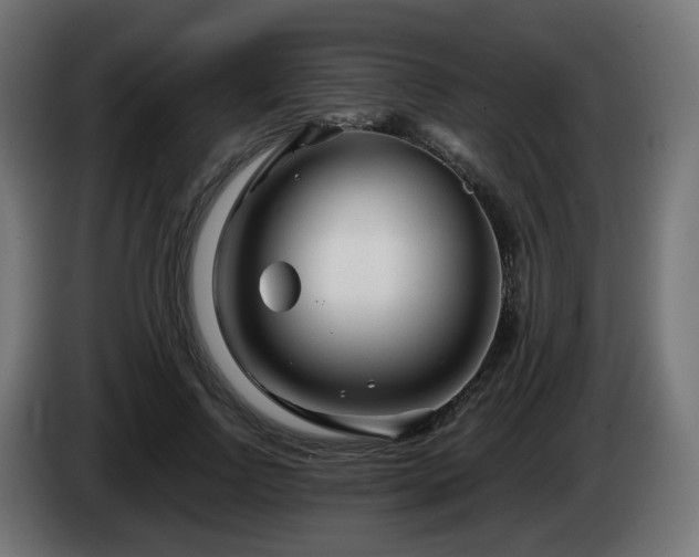 X0000084550742200703021505