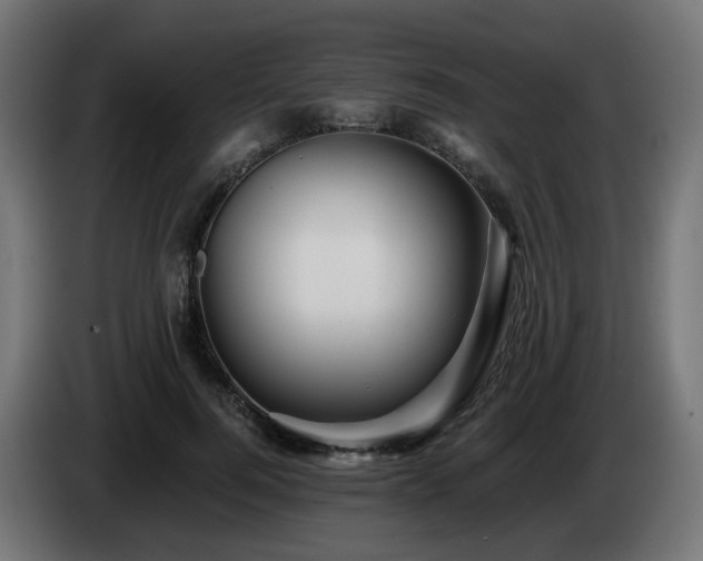 X0000084550744200703021505