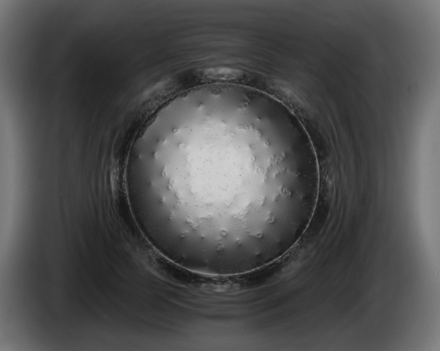 X0000084550745200703021505
