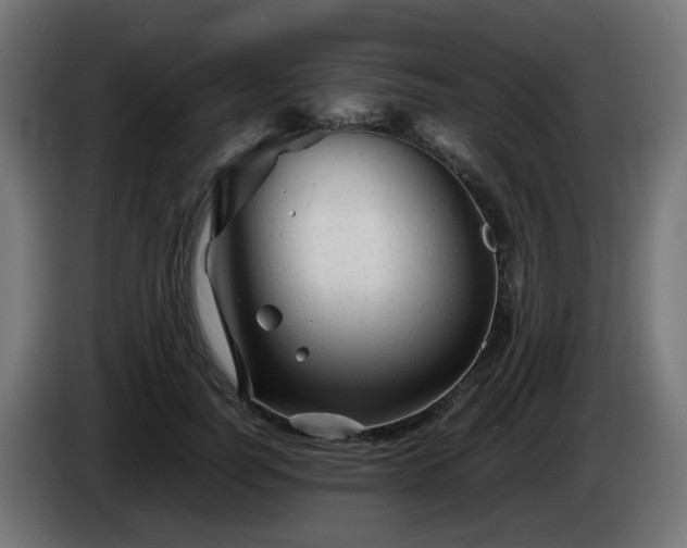 X0000084550746200703021505