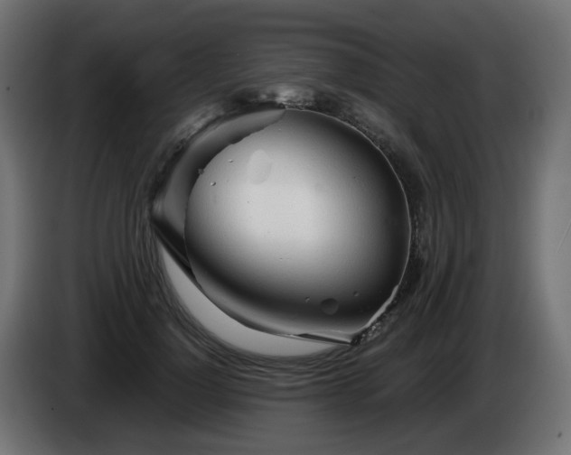 X0000084550748200703021505