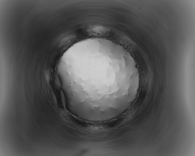 X0000084550749200703021505
