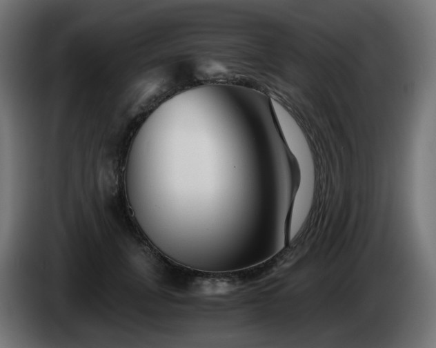 X0000084550751200703021505