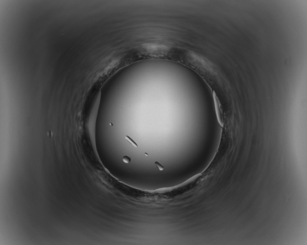 X0000084550752200703021505