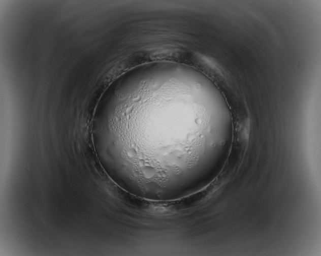 X0000084550753200703021505